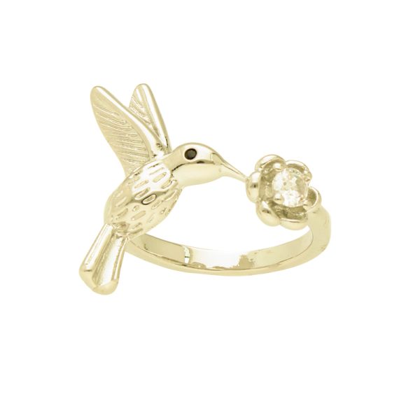 Anillo Chapa de Oro BO3271