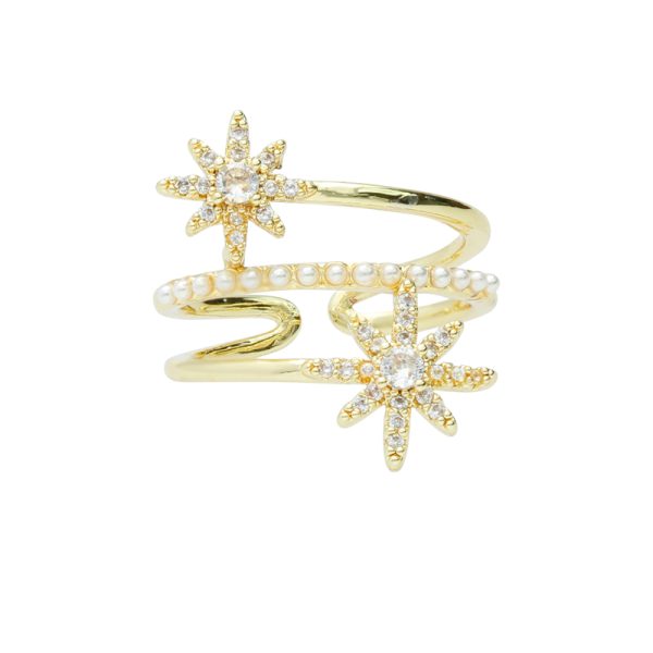 Anillo Chapa de Oro BO3301