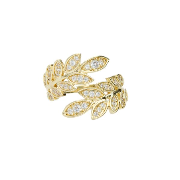 Anillo Chapa de Oro BO3302