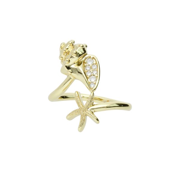 Anillo Chapa de Oro BO3308