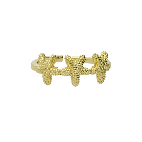 Anillo Chapa de Oro BO3309