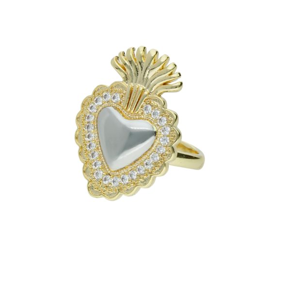 Anillo Chapa de Oro BO3310