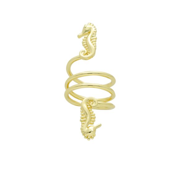 Anillo Chapa de Oro BO3312