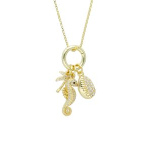 Collar Chapa de Oro BO3433