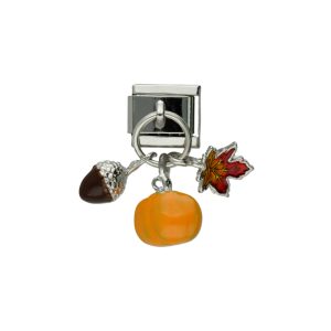 Charm Acero Inoxidable A004057