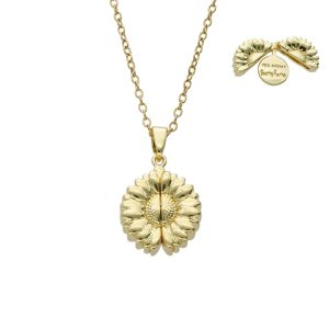 Collar Chapa de Oro y Acero BA0933