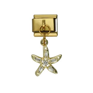 Charm Acero Inoxidable A004496