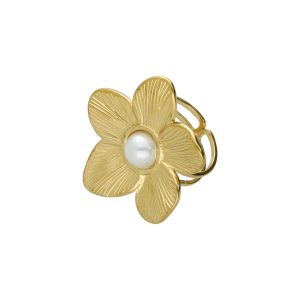 Anillo Acero Inoxidable A004323