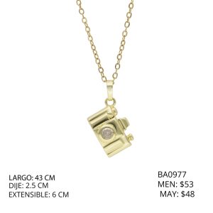 Collar Chapa de Oro y Acero Camara BA0977