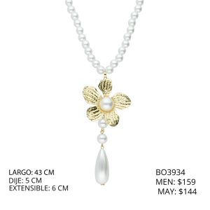 Collar Chapa de Oro BO3934