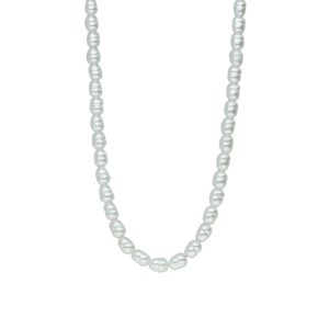 Collar Acero Inoxidable A004614