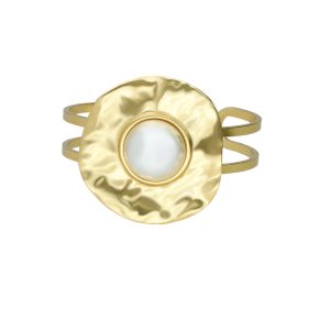 Pulsera Acero Inoxidable A004910