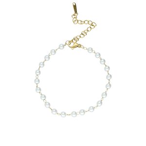 Collar Acero Inoxidable A005028