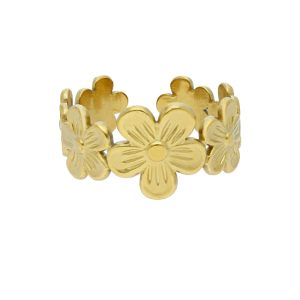 Anillo Acero Inoxidable A004674