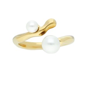 Anillo Acero Inoxidable A004760