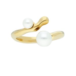 Anillo Acero Inoxidable A004761