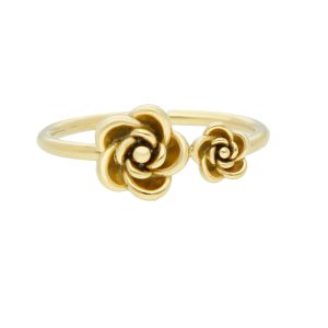 Anillo Acero Inoxidable A004801