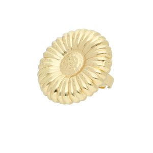 Anillo Acero Inoxidable A004859