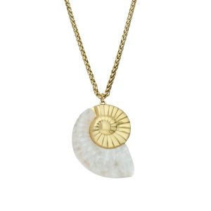 Collar Acero Inoxidable A005076