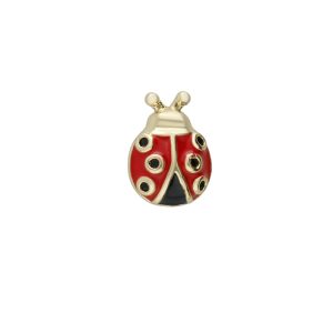 Dije de Catarina Para Relicario de Chapa de Oro BO4741
